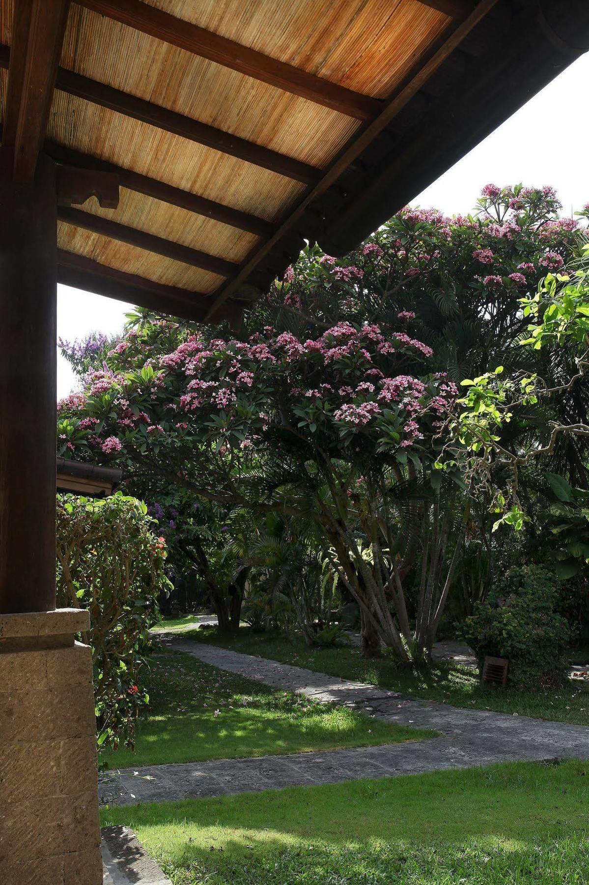 Lalu * Seminyak (Bali)